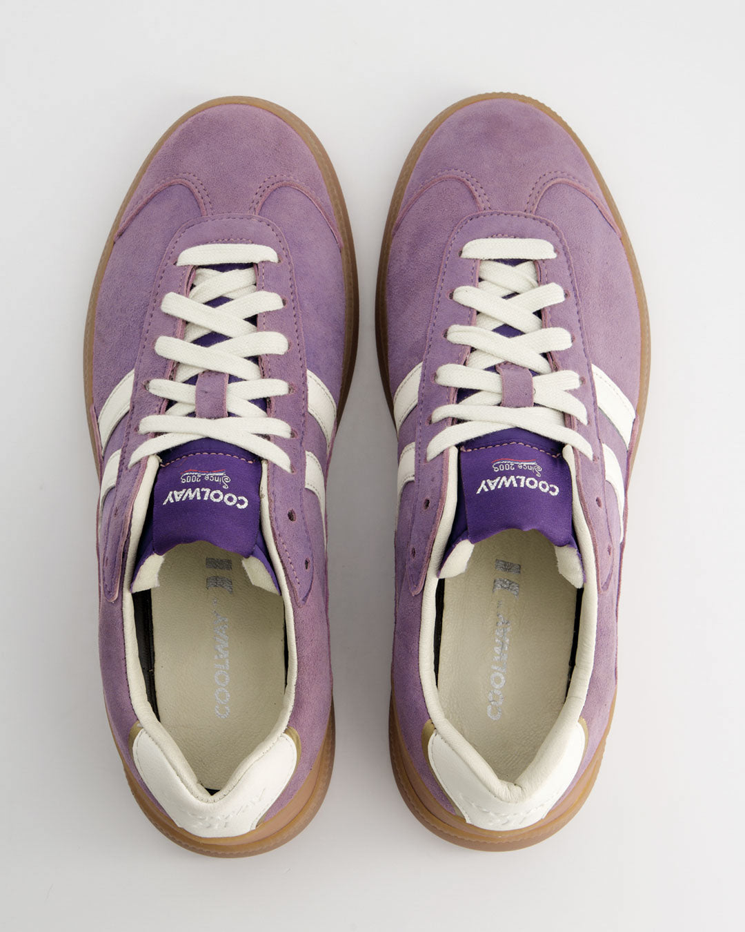 Duck Purple Rain